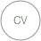 cv_inglés